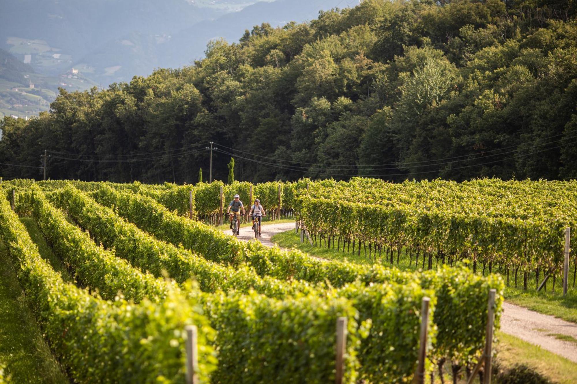 Belia Lofts - Adults Only - Apartments Appiano Sulla Strada Del Vino Exterior photo